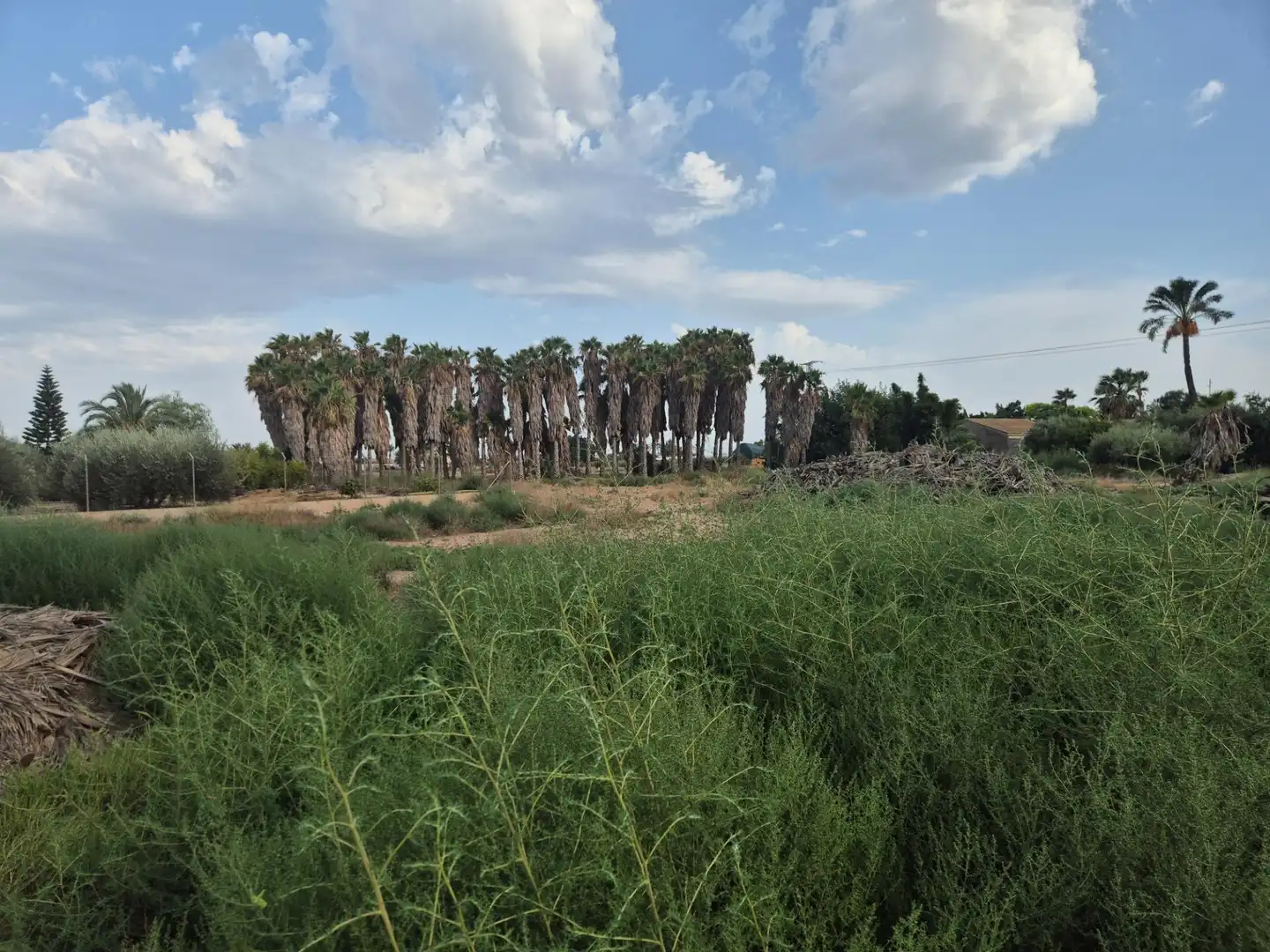 Terrain rustique à vendre à Algorós - El Derramador, imagen 2
