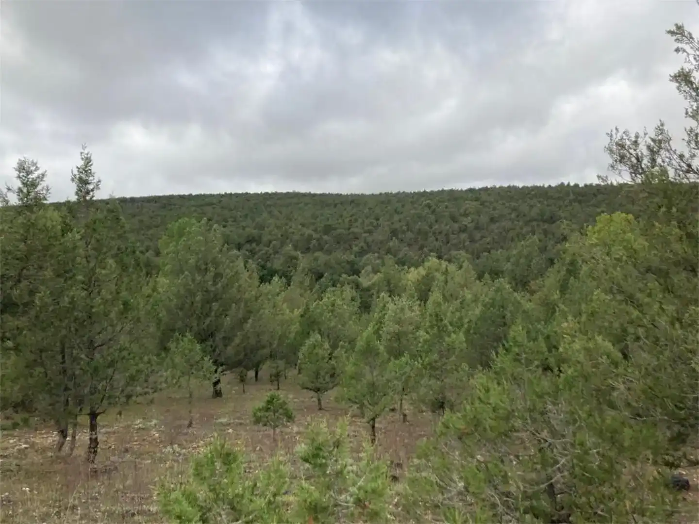Terreno en venta en Duruelo