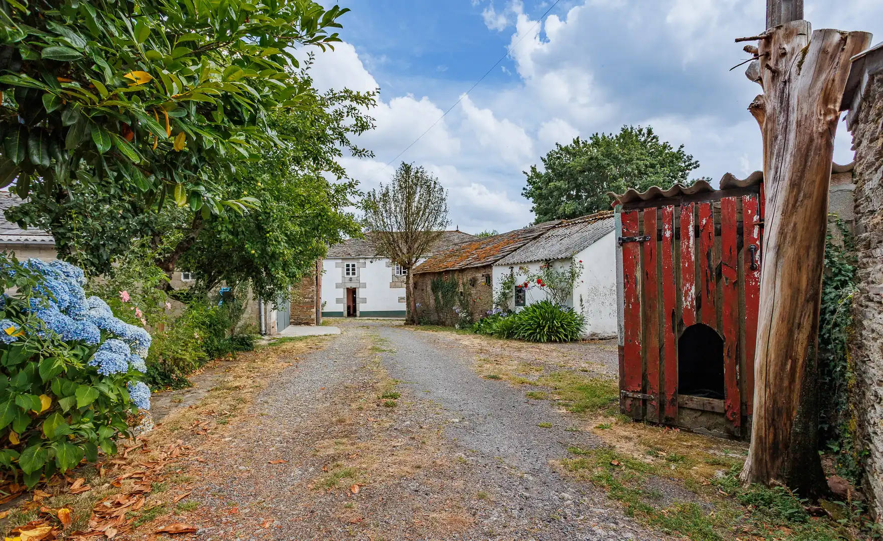 Vista exterior de Finca rústica en venta en Begonte