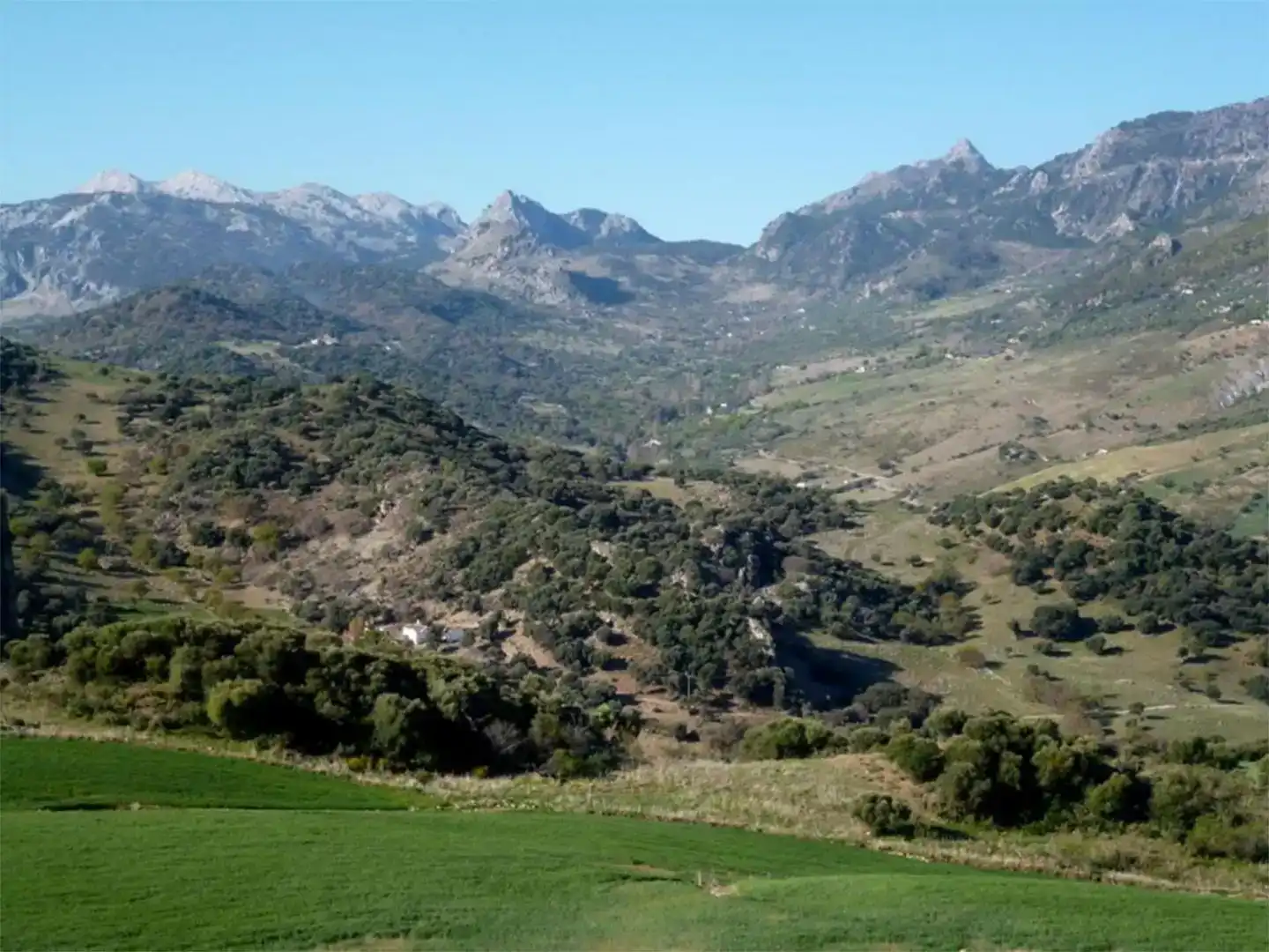 Vista exterior de Finca rústica en venda en Grazalema amb Jardí privat i Moblat