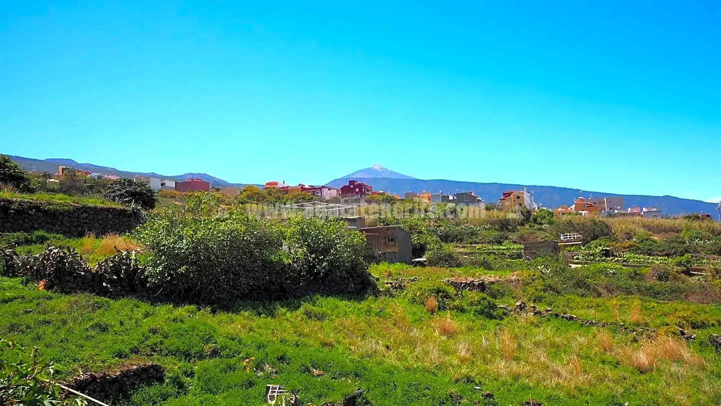 Terrenos y solares en venta en Centro, imagen 14