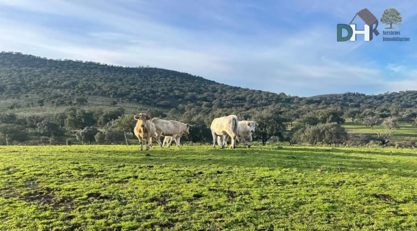 Terreni e lotti in vendita a Ruta de la Plata