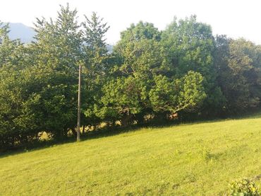 Terrenos y solares en venta en Piloña