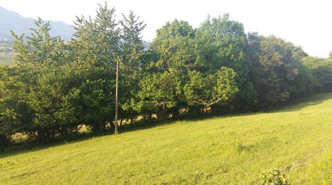 Finca edificable de 5.400 m2 en Piloña