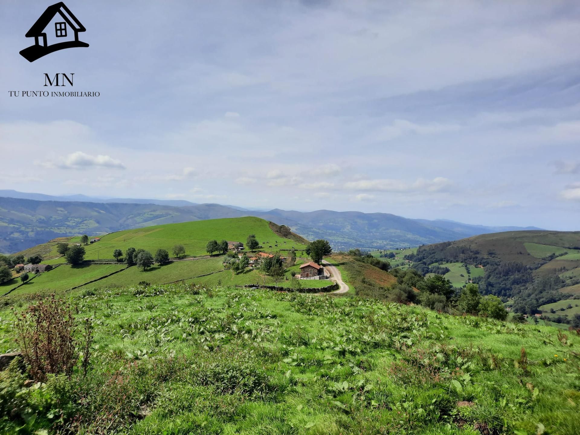 Vista exterior de Finca rústica en venta en Selaya