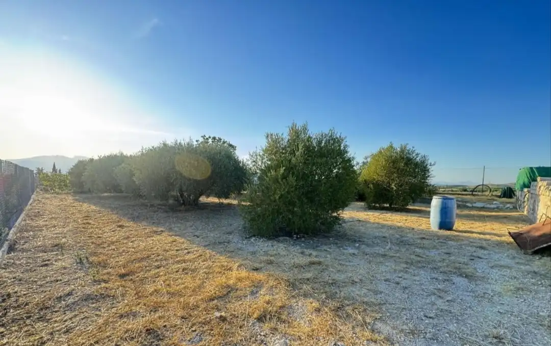 Casa rústica amb piscina en venda a Alhama de Murcia ciudad, imagen 29