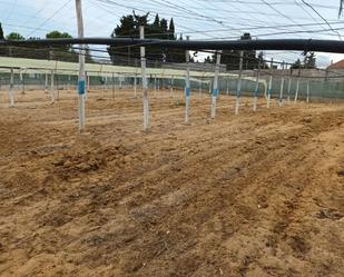 Jardí de Terreny en venda en Sanlúcar de Barrameda