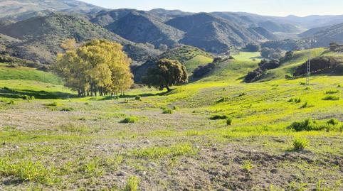 Foto 3 de Finca rústica en venda a Villanueva de San Juan, Sevilla