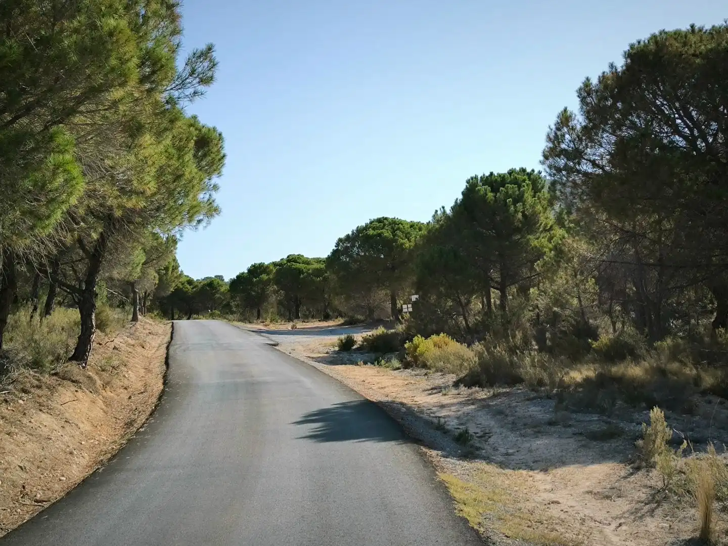 Rustikales Grundstück zum Verkauf in Plaça Poligono 3 407, imagen 5
