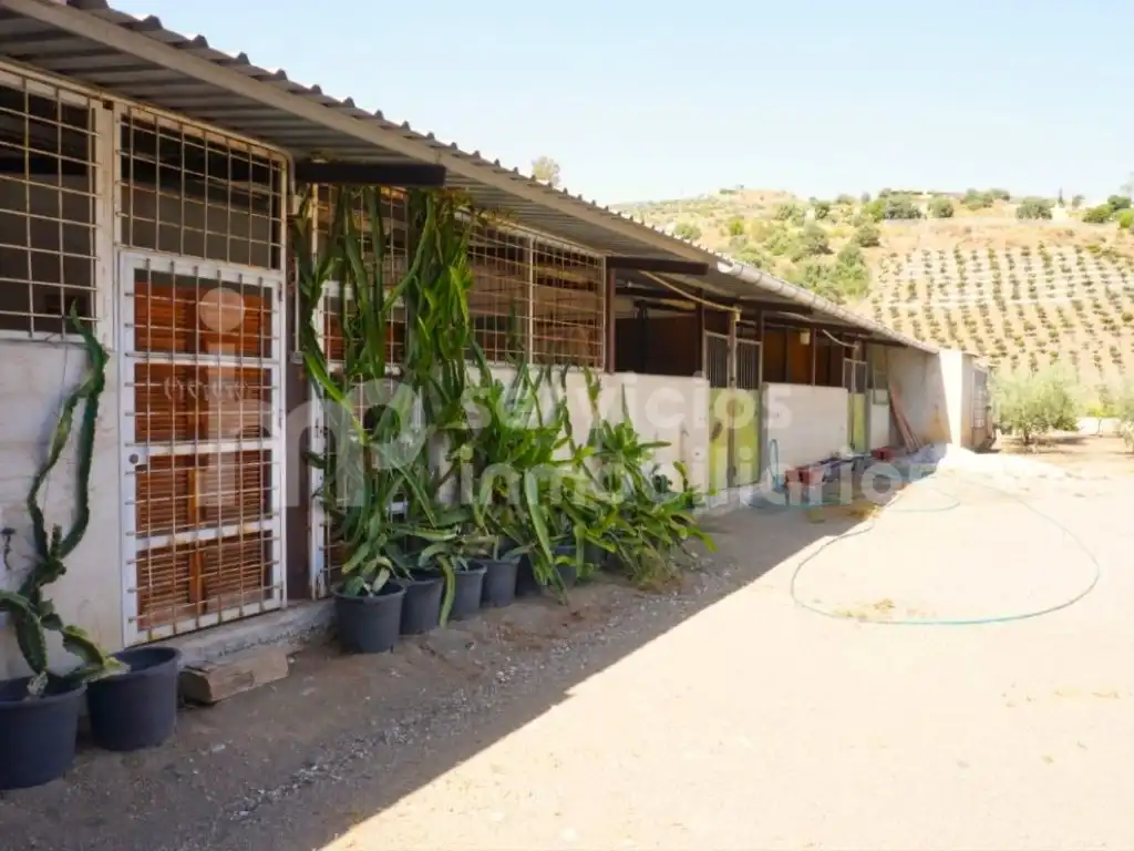 Finca rústica en venda a Diseminados Cortijo Lagar Del Rio (Diseminado), Centro Histórico