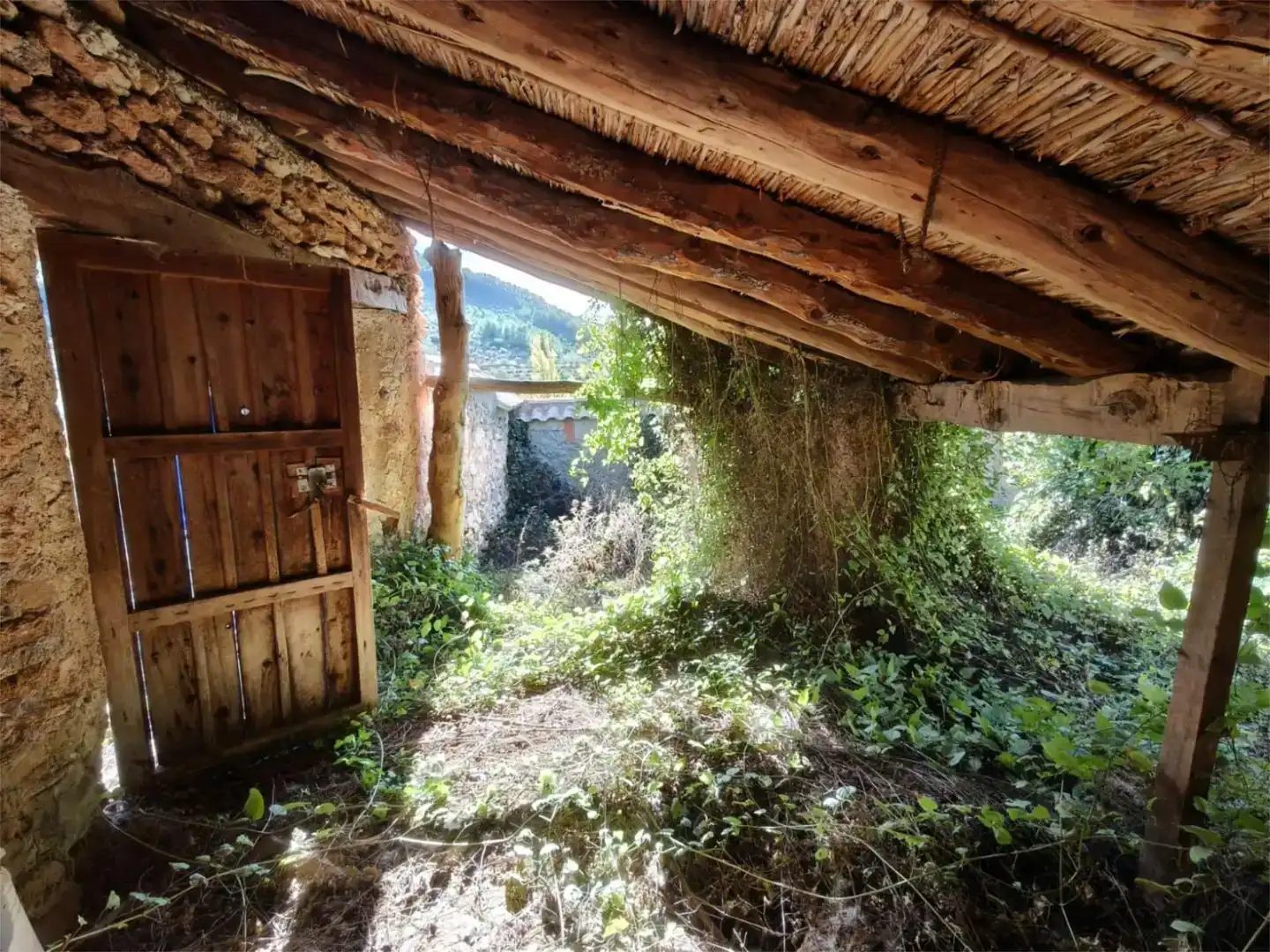 Jardín de Finca rústica en venta en Bogarra con Jardín privado