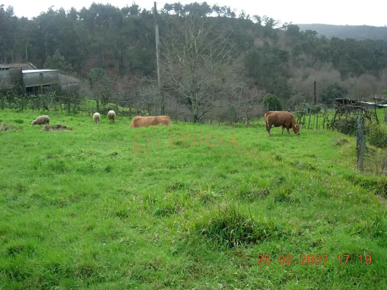 Residencial en venta en Crecente