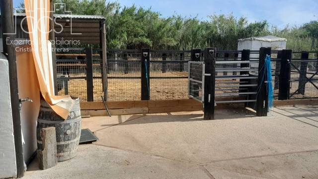 Finca rústica en Venta en Almonte ciudad