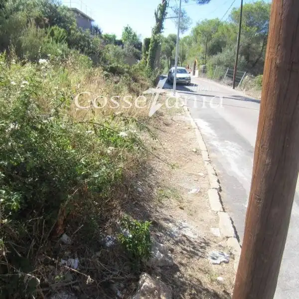 Terreny rústic en venda a TOMAS BRETON, imagen 15