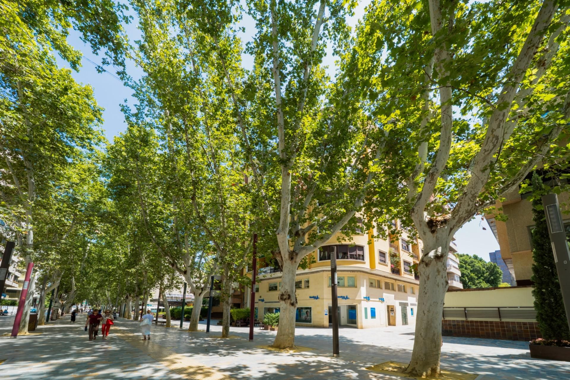 Vista exterior de Pis en venda en  Murcia Capital amb Aire condicionat, Calefacció i Traster