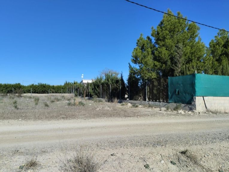 Land for sale in Librilla