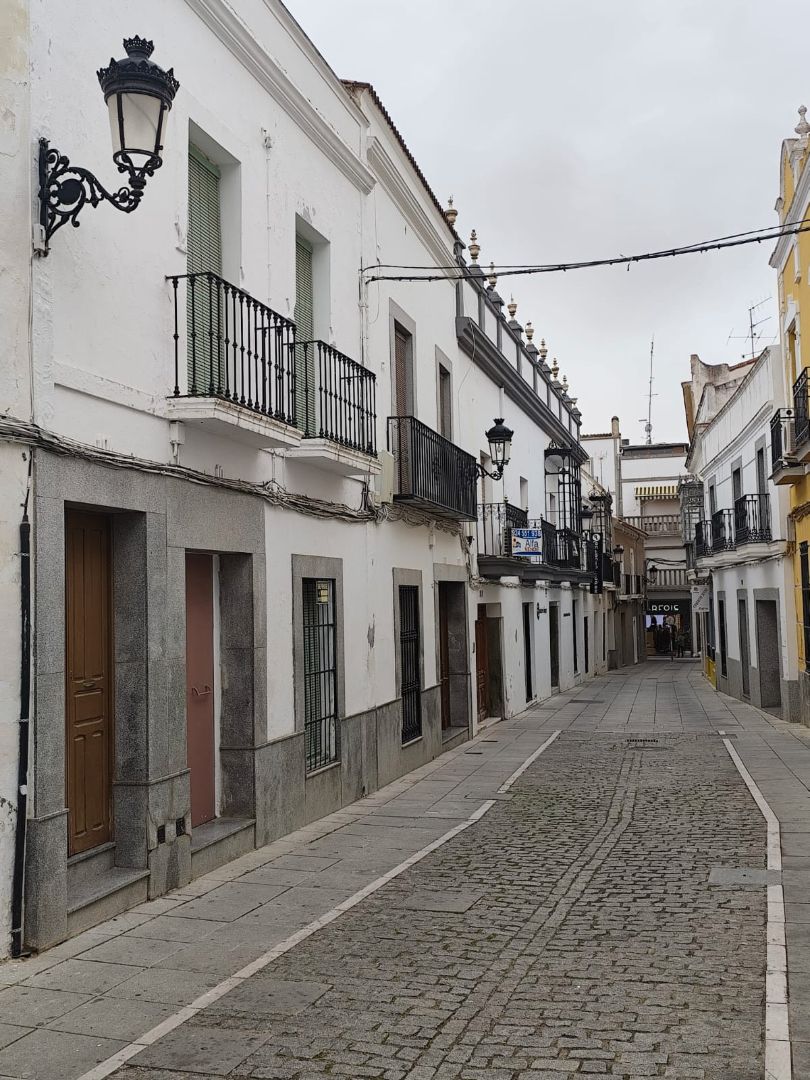 Exterior view of House or chalet for sale in Zafra  with Terrace