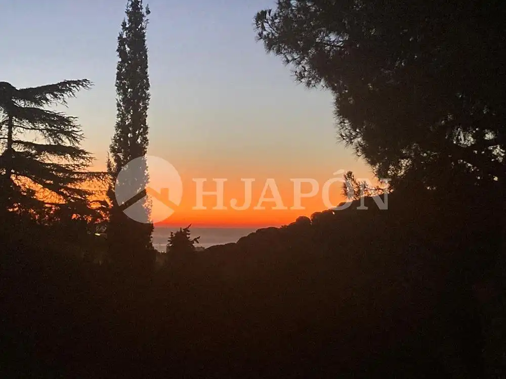 Garden of Houses for sale in Alella, Barcelona