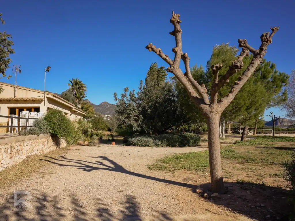 House for sale in Camí Pla de Lloret, imagen 30