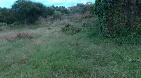 Terreno urbanizable en  Alcudia.