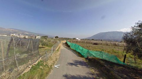 FINCA RUSTICA CON VIÑEDOS