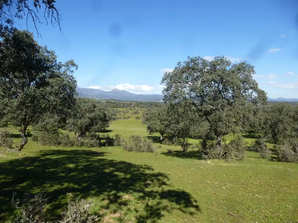 Rural land for sale in Maqueda, imagen 8