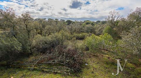 Foto 3 de Residencial en venda a Lugar Urbanizacion las Encinas, Monteclaro, Madrid