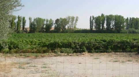 Imagen 2 del anuncio