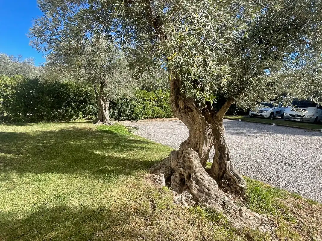 Pis amb jardí en venda a Carrer Londres 29, imagen 5