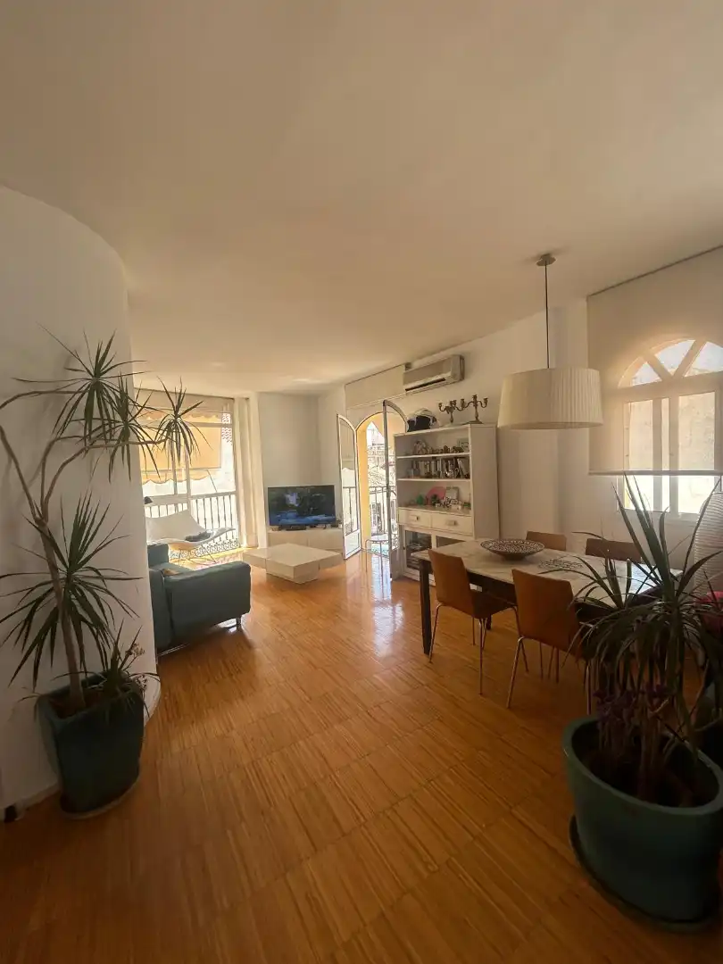 Living room of Flat for sale in Málaga  with Air Conditioner and Terrace