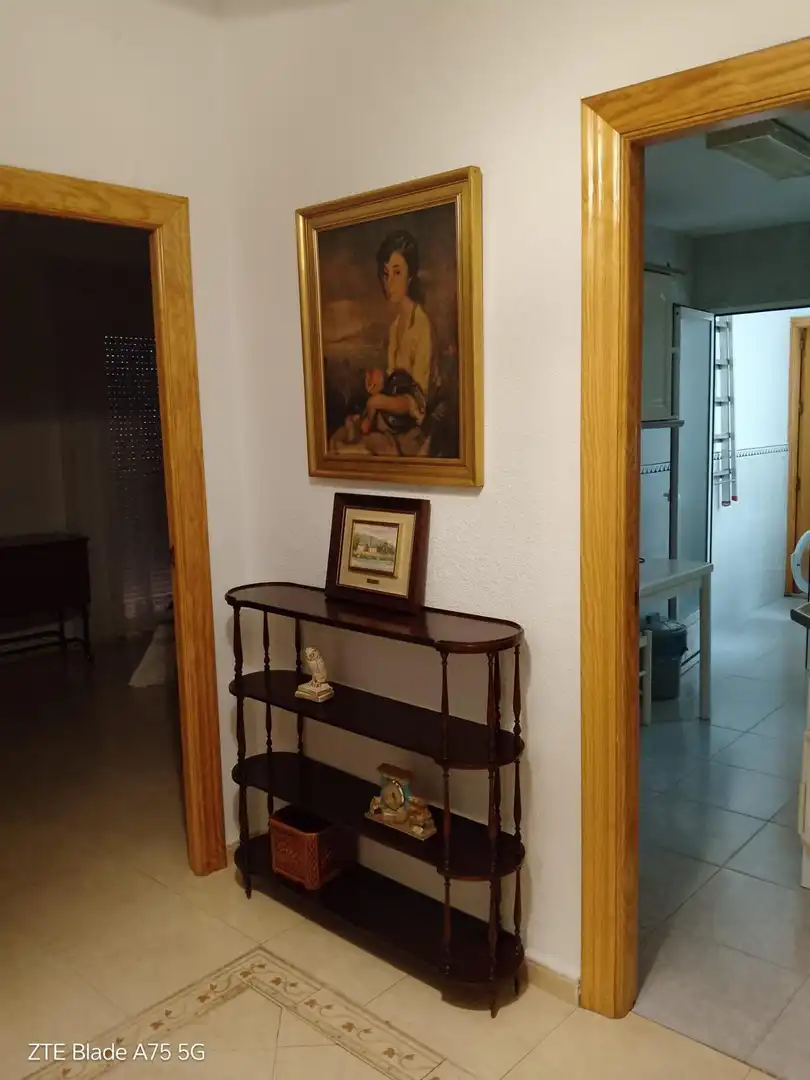 Apartments for rent in Camino de Ronda
