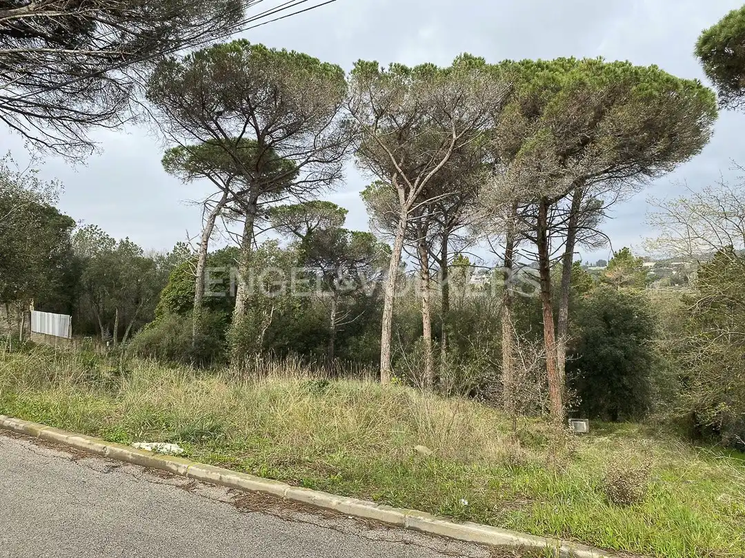 Terreno residencial en venta en Mas Mora - Sant Daniel, imagen 9