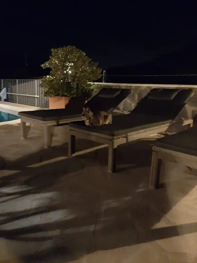 Villa avec piscine à vendre à Maryvilla, imagen 62