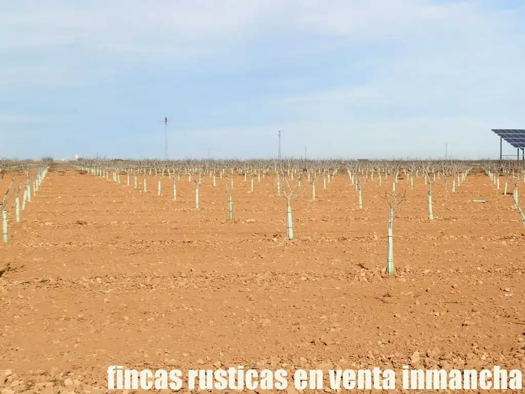 Vista exterior de Terreno en venta en Albacete