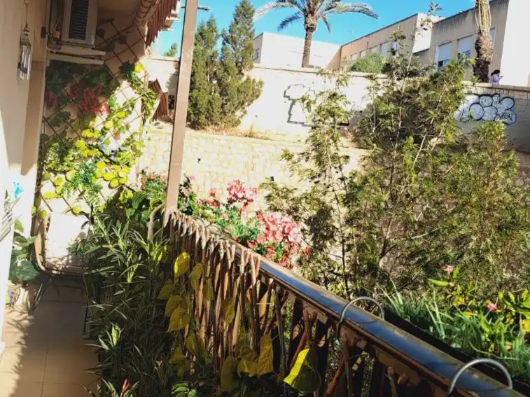 Piso con ascensor en venta en Calle Jaime María Buch 2, imagen 3