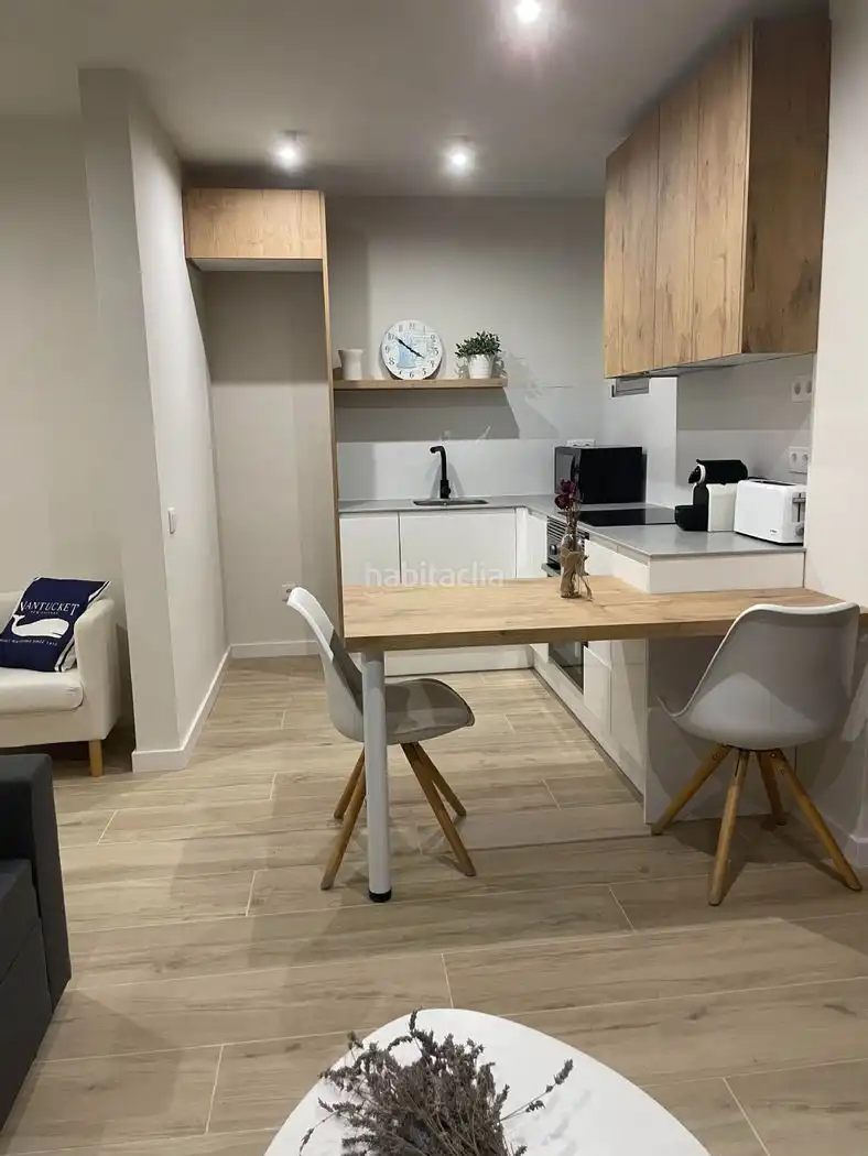 Apartament amb jardí de lloguer a Passeig del Mar 3, imagen 9
