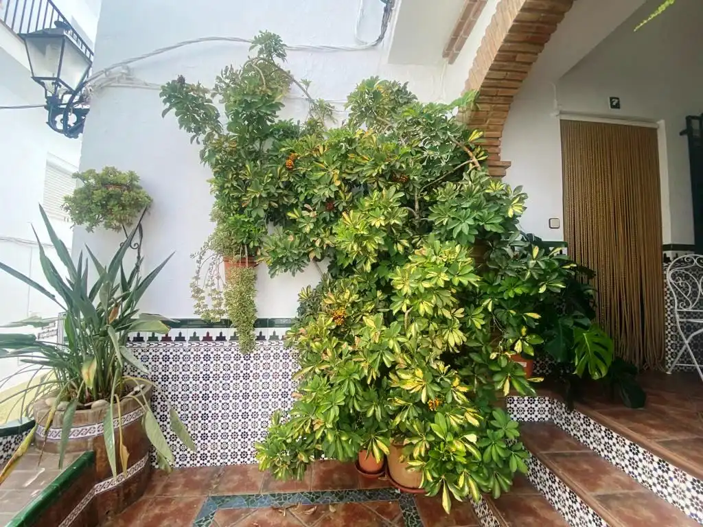 Jardí de Finca rústica en venda en Canillas de Albaida amb Aire condicionat