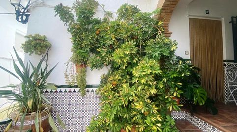 Foto 4 de Finca rústica en venda a Canillas de Albaida, Málaga