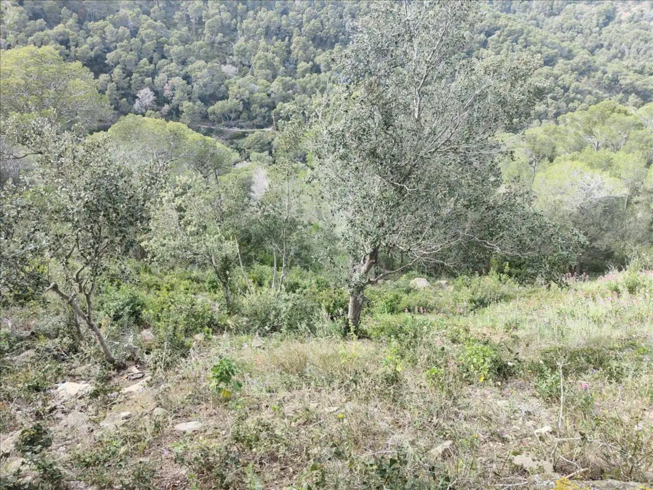 Terreno en venta en Carretera Tuna, 35, Aiguafreda - Sa Tuna