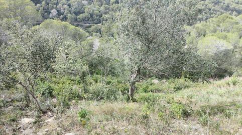 Photo 5 of Land for sale in Carretera Tuna, 35, Aiguafreda - Sa Tuna, Begur