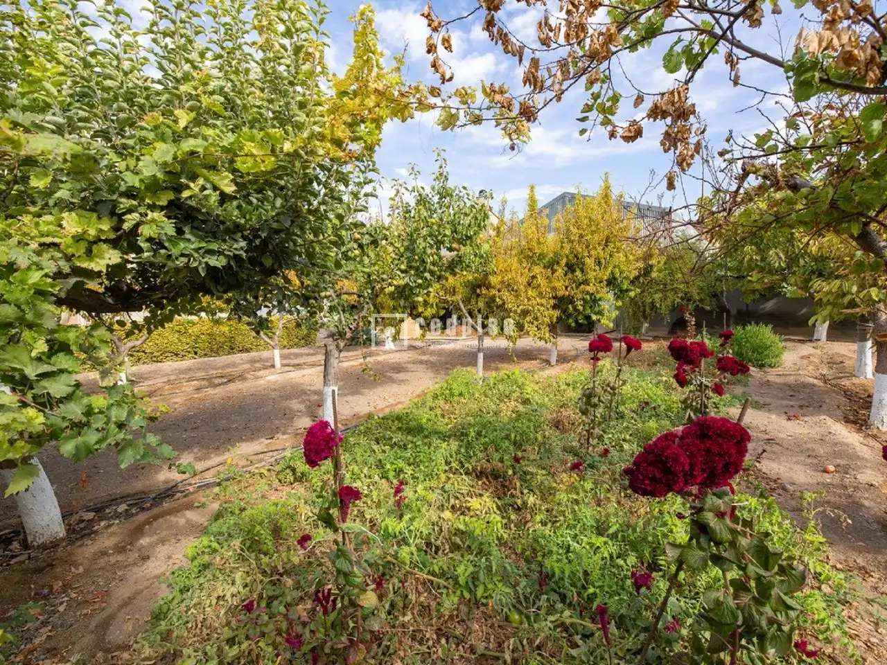 Jardín de Casa o chalet en venta en Madridejos con Aire acondicionado, Calefacción y Terraza