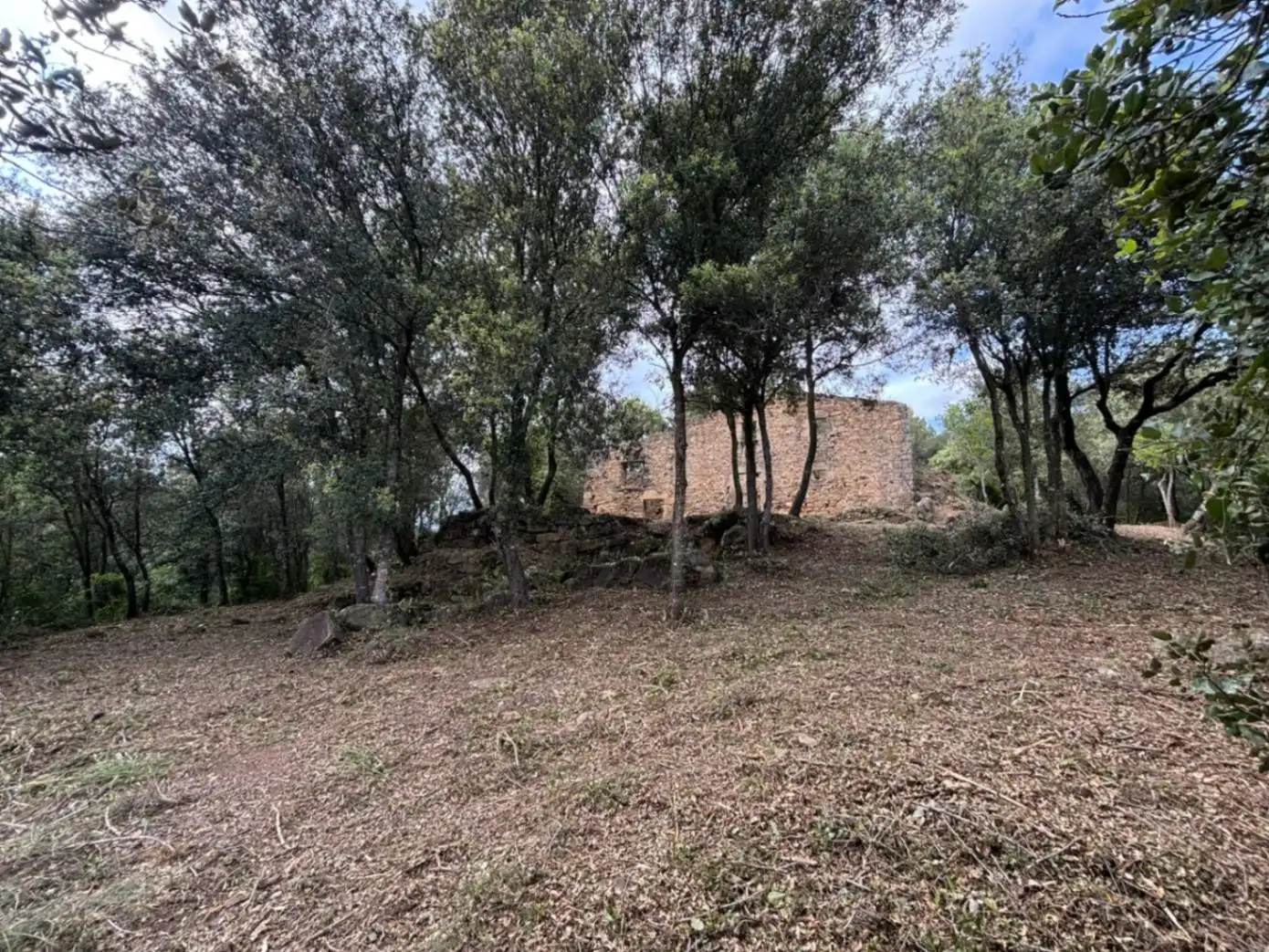 Finca rústica en venta en Palol de Revardit