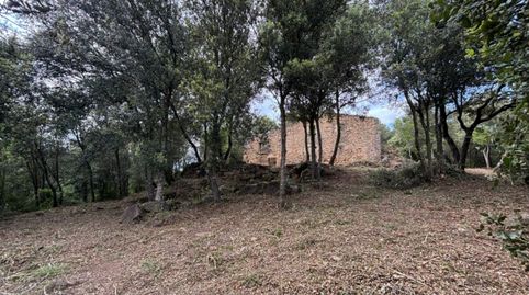 Foto 4 de Finca rústica en venda a Palol de Revardit, Girona