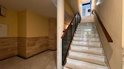 Photo 3 of Flat for rent in Bellavista,  Sevilla Capital