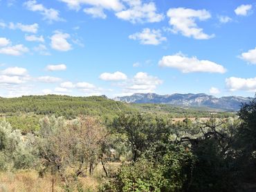 Residential land for sale in Lledó