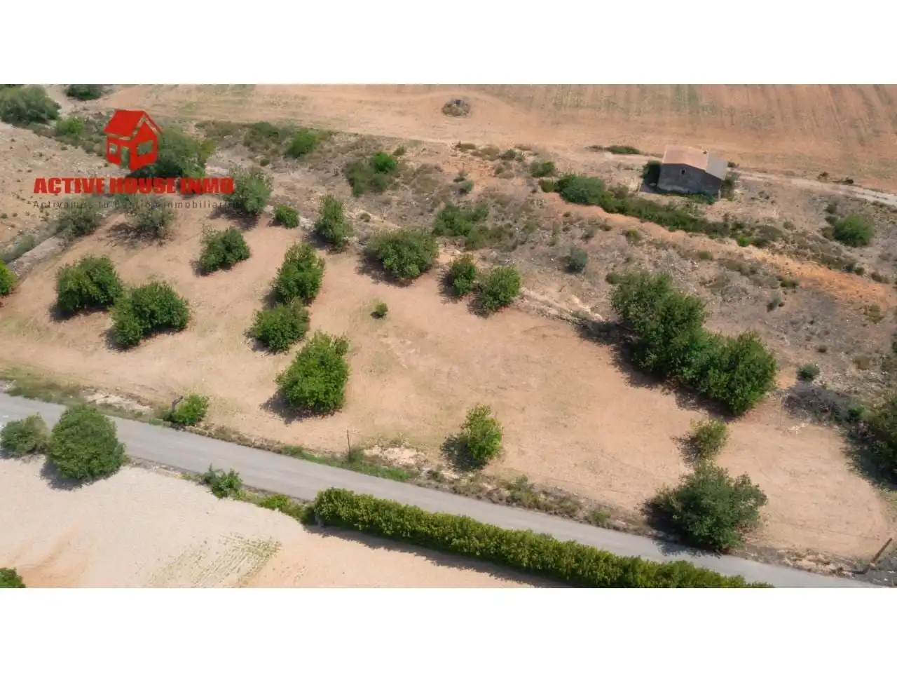 Terreno rustico in vendita a Calle Reis Católics, imagen 3