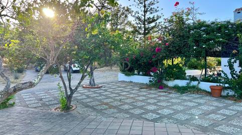 Foto 5 de Finca rústica en venda a Ayamonte ciudad, Huelva