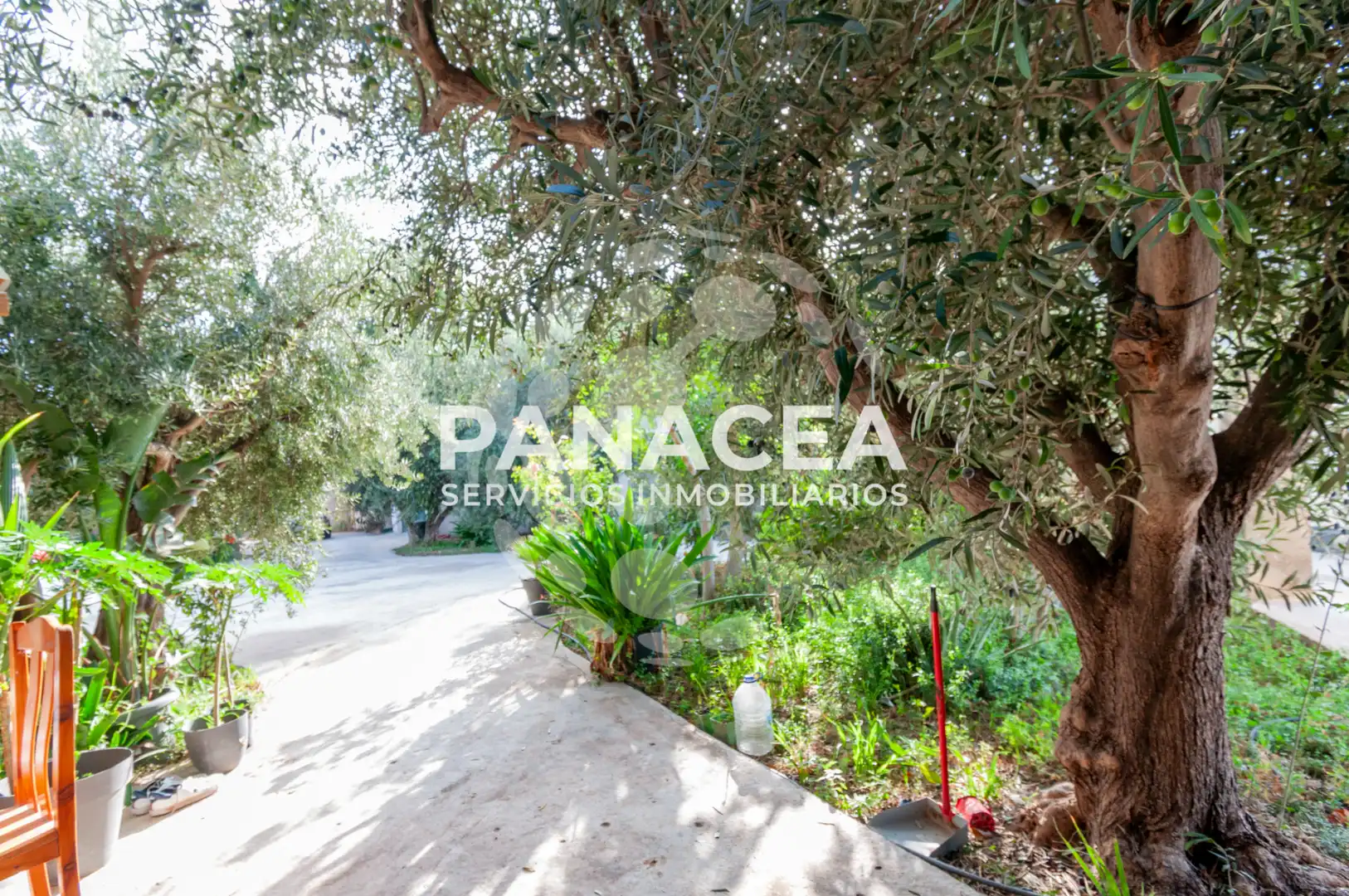 Finca rústica en venta en Vícar Pueblo