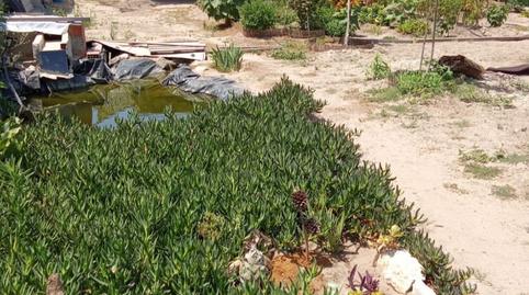 Foto 2 de Terreno en venta en Carrer del Mestre Navarro, 14, Les Palmeres, Valencia