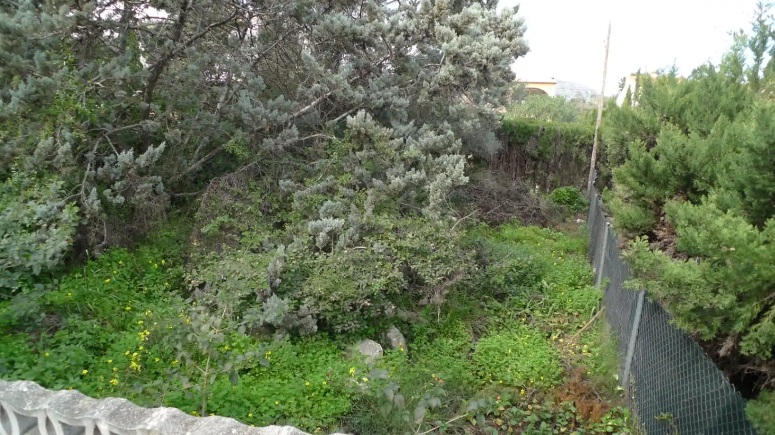Residential land for sale in Orba, imagen 12